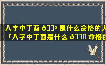 八字中丁酉 🐺 是什么命格的人「八字中丁酉是什么 💐 命格的人呢」